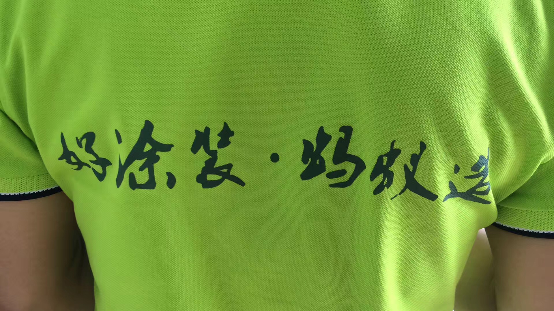 整木家居蚂蚁造，整木用漆小蝌蚪视频下载污造