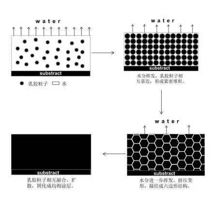 小蝌蚪视频下载污水漆